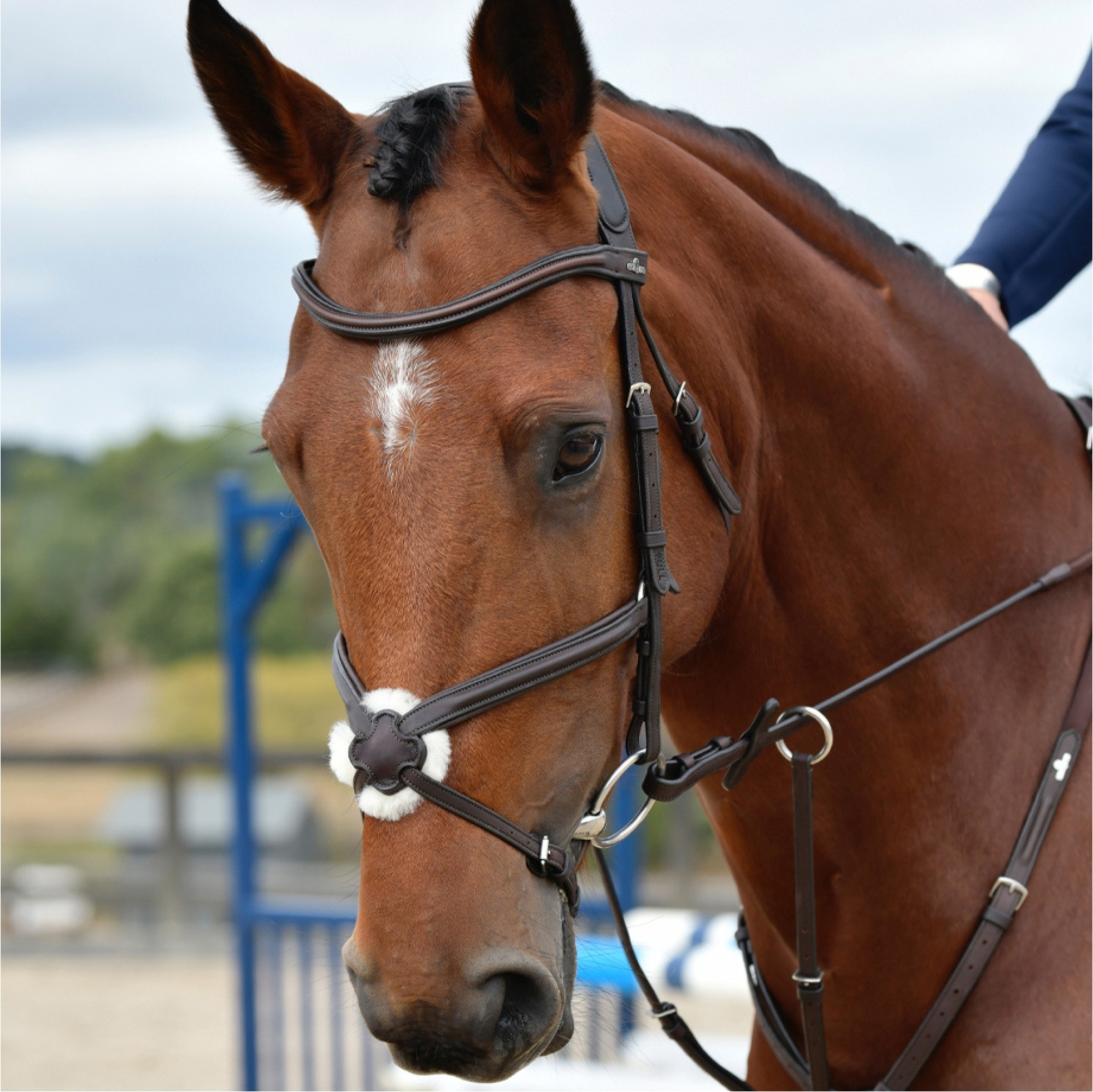Collegiate Comfitec Opulux Plain Padded Grackle Bridle 102519500 - Dark Brown